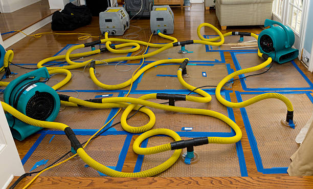 Professional Crawl Space Water Removal technician working in Clinton, MI